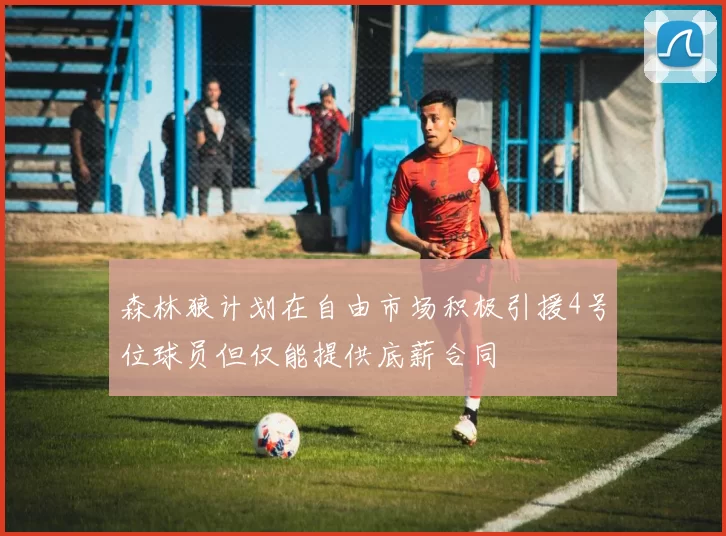 森林狼计划在自由市场积极引援4号位球员但仅能提供底薪合同